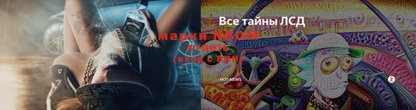 хмурый Каменка