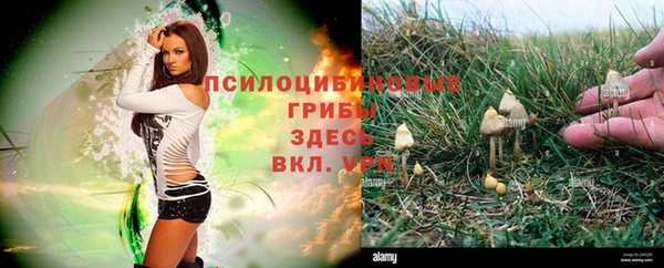 хмурый Каменка