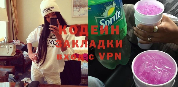 хмурый Каменка