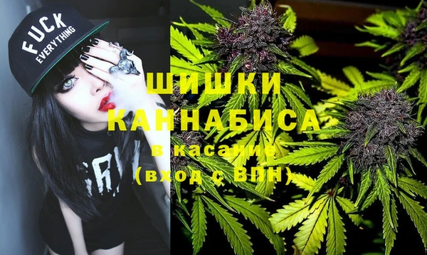 хмурый Каменка