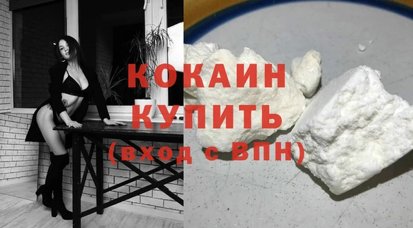PSILOCYBIN Инта