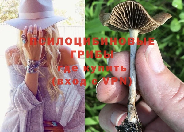 хмурый Каменка